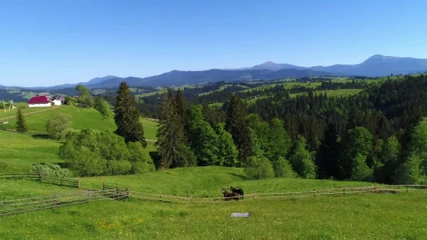 Video Stock Prairie View Of A Ranch With Horses Live Wallpaper Free - Free Live Wallpaper