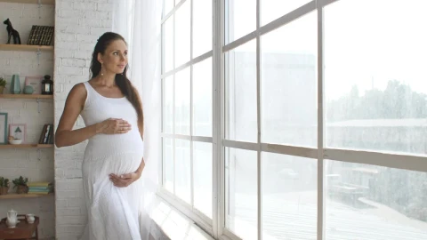 Video Stock Pregnant Young Mom Waiting For Her Baby Live Wallpaper Free - Free Live Wallpaper