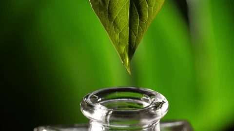 Video Stock Preparing Alternative Therapy Oil Live Wallpaper Free - Free Live Wallpaper