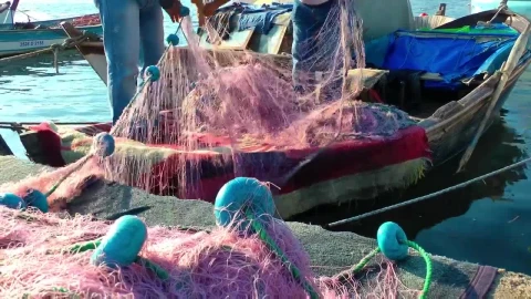 Video Stock Preparing The Net To Go Fishing Live Wallpaper Free - Free Live Wallpaper