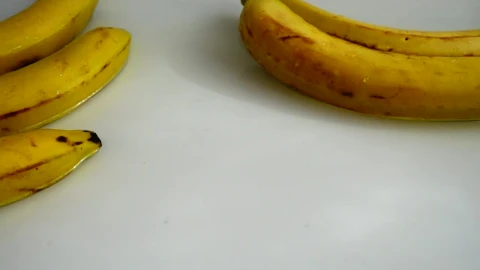 Video Stock Presentation Of Bananas On Water Live Wallpaper Free - Free Live Wallpaper