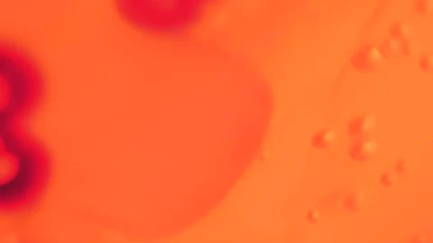 Video Stock Preserved Viruses Live Wallpaper Free - Free Live Wallpaper