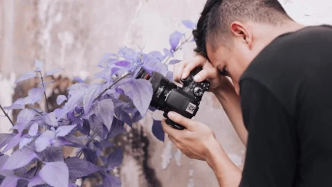 Video Stock Pro Photographer Taking Photos Of Purple Flowers Live Wallpaper Free - Free Live Wallpaper