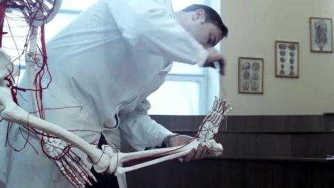 Video Stock Professor Teaching Human Anatomy At The University Live Wallpaper Free - Free Live Wallpaper