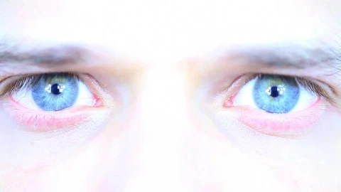 Video Stock Pupils Dilate In A Persons Gaze Live Wallpaper Free - Free Live Wallpaper