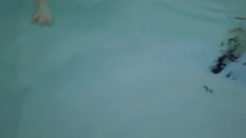 Video Stock Puppy Swimming In A Pool Live Wallpaper Free - Free Live Wallpaper