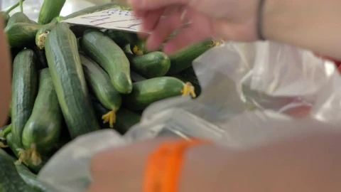 Video Stock Putting Market Produce Into A Bag Live Wallpaper Free - Free Live Wallpaper