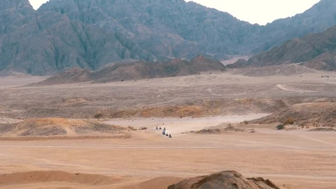 Video Stock Quad Bikes Gang Crossing The Desert Live Wallpaper Free - Free Live Wallpaper