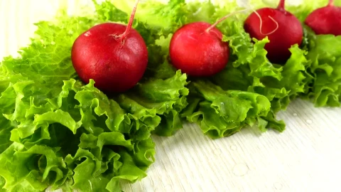 Video Stock Radishes Picked From A Garden Live Wallpaper Free - Free Live Wallpaper