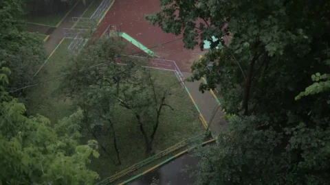 Video Stock Rain Falling In A City Park Live Wallpaper Free - Free Live Wallpaper