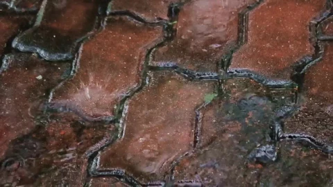Video Stock Rain Falling On Bricks Live Wallpaper Free - Free Live Wallpaper