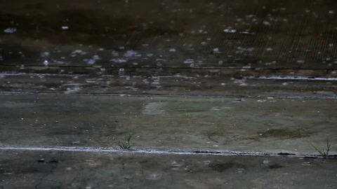 Video Stock Rain Falling On The Street Close Up Live Wallpaper Free - Free Live Wallpaper