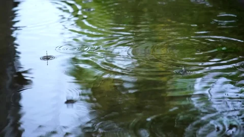 Video Stock Rain Falling On The Water Of A Lake Seen Up Live Wallpaper Free - Free Live Wallpaper