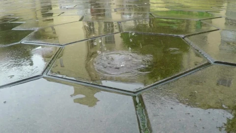 Video Stock Raindrops Falling On The Flagstone Live Wallpaper Free - Free Live Wallpaper