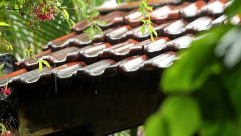 Video Stock Raindrops On A Clay Rooftop Live Wallpaper Free - Free Live Wallpaper