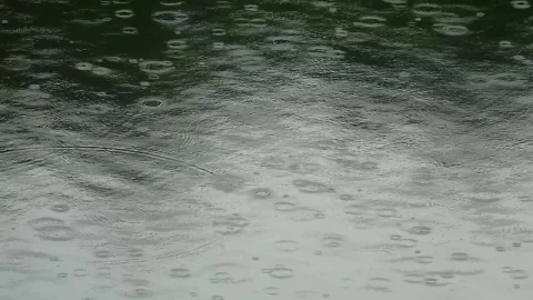 Video Stock Raindrops On Water Surface Live Wallpaper Free - Free Live Wallpaper