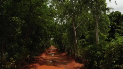 Video Stock Rainfall In Africa Live Wallpaper Free - Free Live Wallpaper