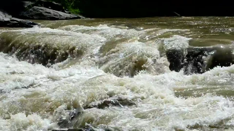Video Stock Rainfall Creating A River Surge Live Wallpaper Free - Free Live Wallpaper