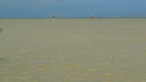 Video Stock Reading A Book In The Ocean Live Wallpaper Free - Free Live Wallpaper