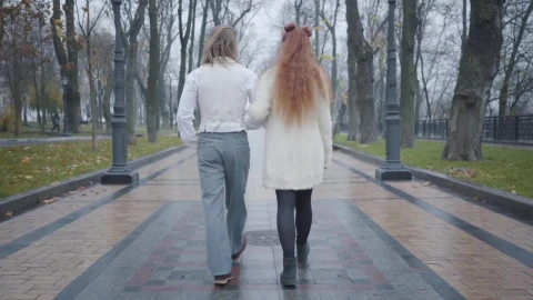 Video Stock Rear View Of Stylish Couple Walking In Rain Through Park Live Wallpaper Free - Free Live Wallpaper