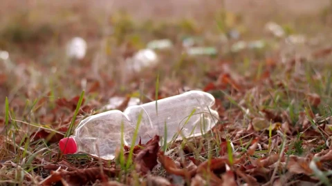 Video Stock Recycling Garbage Dumped In Nature Live Wallpaper Free - Free Live Wallpaper