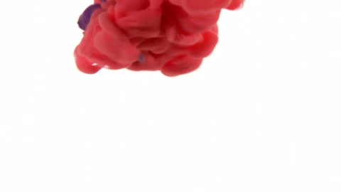 Video Stock Red And Purple Fluids Live Wallpaper Free - Free Live Wallpaper