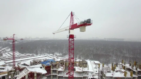 Video Stock Red Crane Working In The Snow Live Wallpaper Free - Free Live Wallpaper