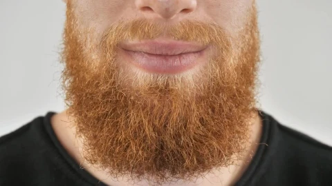 Video Stock Red Haired Man With A Beard Smiling Live Wallpaper Free - Free Live Wallpaper