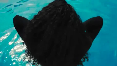 Free Stock Video Sitting By The Edge Of The Swimming Pool Live Wallpaper - Free Live Wallpaper