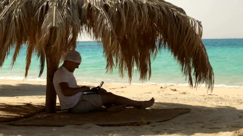 Free Stock Video Sitting In The Shade Working Live Wallpaper - Free Live Wallpaper