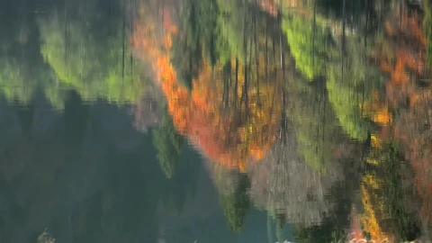 Free Stock Video Reflection Of Autumn Colors In The Lake And Forest Live Wallpaper - Free Live Wallpaper