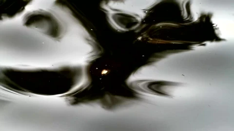 Free Stock Video Reflections In The Water Live Wallpaper - Free Live Wallpaper