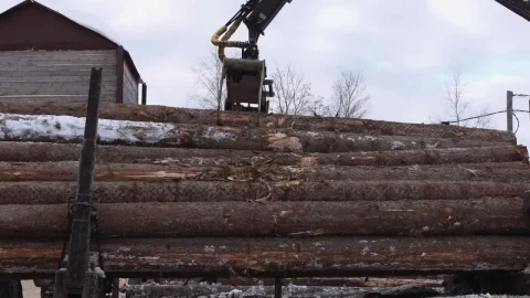 Free Stock Video Removing Logs From A Truck Live Wallpaper - Free Live Wallpaper