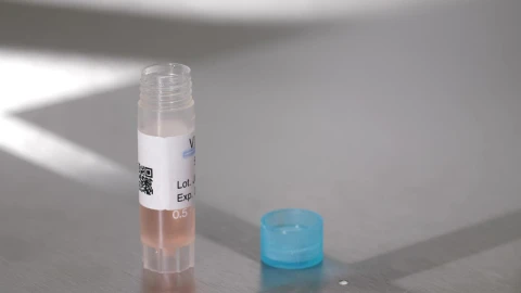 Free Stock Video Researcher Drawing Liquid With A Pipette Live Wallpaper - Free Live Wallpaper