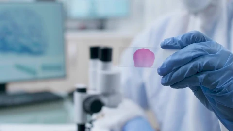 Free Stock Video Researcher Holding A Sample Live Wallpaper - Free Live Wallpaper