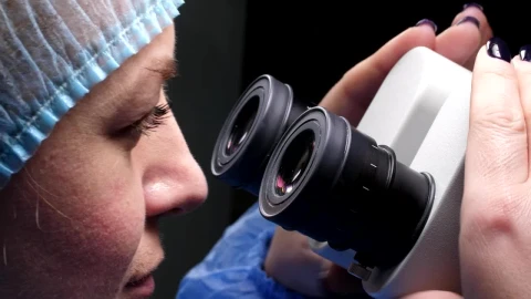 Free Stock Video Researcher Using Her Microscope Live Wallpaper - Free Live Wallpaper