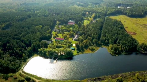 Free Stock Video Resort Deep In A Forest Live Wallpaper - Free Live Wallpaper