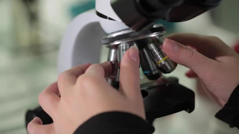 Free Stock Video Reviewing A Test Sample With A Microscope Live Wallpaper - Free Live Wallpaper
