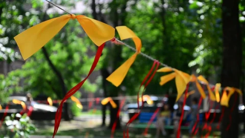 Free Stock Video Ribbons Around A Forest Live Wallpaper - Free Live Wallpaper
