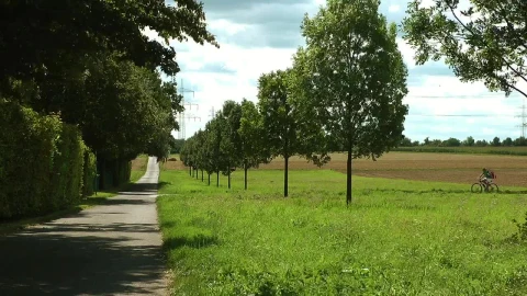 Free Stock Video Riding A Bicycle In The Countryside Live Wallpaper - Free Live Wallpaper