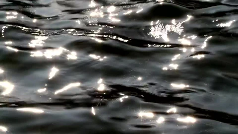 Free Stock Video Ripples Across A Pool Live Wallpaper - Free Live Wallpaper