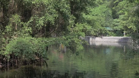 Free Stock Video River Boat Tour In Hanoi Live Wallpaper - Free Live Wallpaper