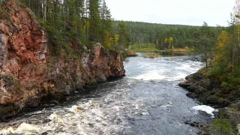 Free Stock Video River Ending In A Lake Surrounded By A Green Forest Live Wallpaper - Free Live Wallpaper