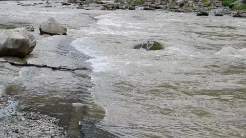 Free Stock Video River Flowing After The Rain Live Wallpaper - Free Live Wallpaper