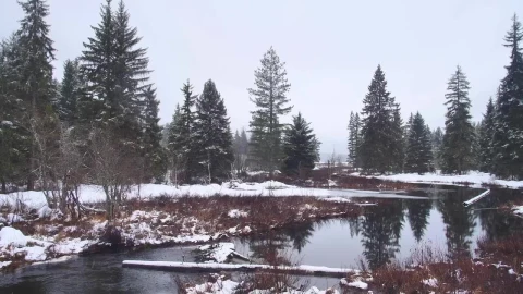 Free Stock Video River Flowing During A Cloudy Day In Canada Live Wallpaper - Free Live Wallpaper