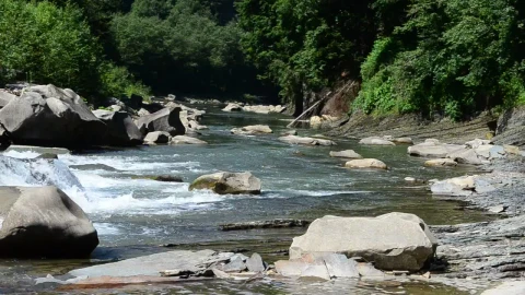 Free Stock Video River Flowing Through A Forest Creek Live Wallpaper - Free Live Wallpaper