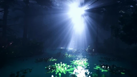 Free Stock Video River In A Jungle Under Intense Volumetric Light Live Wallpaper - Free Live Wallpaper