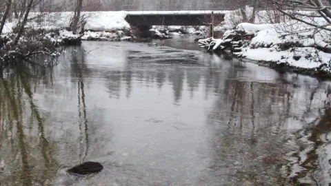 Free Stock Video River In A Snowy Forest In Canada Live Wallpaper - Free Live Wallpaper