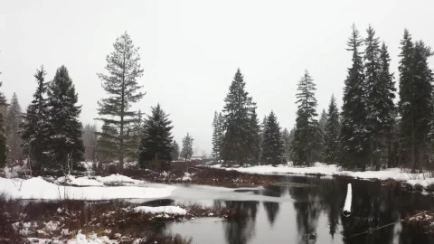 Free Stock Video River In A Snowy Forest Of Canada Live Wallpaper - Free Live Wallpaper