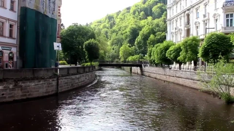 Free Stock Video River Of A City With Many Trees And Buildings Live Wallpaper - Free Live Wallpaper